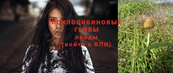 mix Богородск