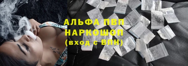 PSILOCYBIN Богородицк
