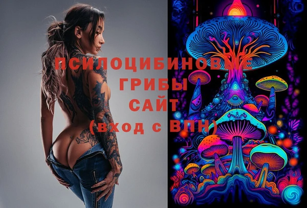а пвп мука Горно-Алтайск