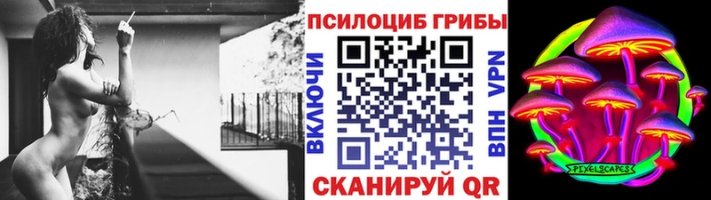Галлюциногенные грибы мицелий  MEGA рабочий сайт  Михайловка 
