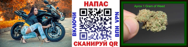 Каннабис гибрид  Михайловка 